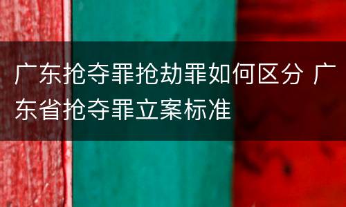 广东抢夺罪抢劫罪如何区分 广东省抢夺罪立案标准