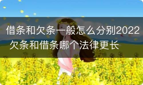 借条和欠条一般怎么分别2022 欠条和借条哪个法律更长