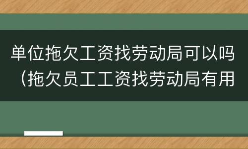 单位拖欠工资找劳动局可以吗（拖欠员工工资找劳动局有用吗）