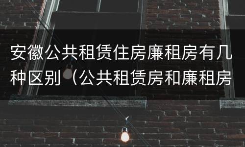 安徽公共租赁住房廉租房有几种区别（公共租赁房和廉租房）