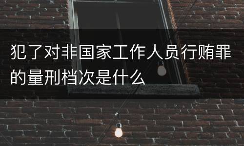 犯了对非国家工作人员行贿罪的量刑档次是什么
