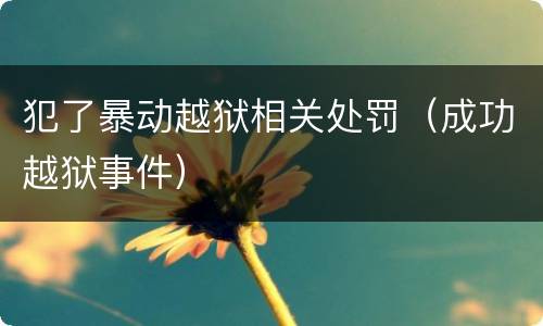 犯了暴动越狱相关处罚（成功越狱事件）