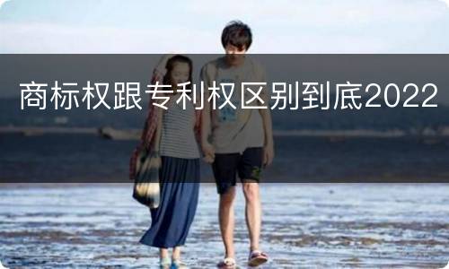 商标权跟专利权区别到底2022