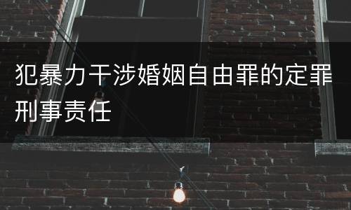 犯暴力干涉婚姻自由罪的定罪刑事责任