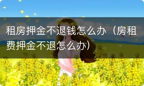 租房押金不退钱怎么办（房租费押金不退怎么办）