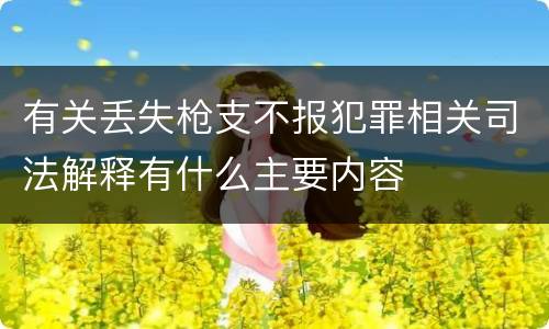 有关丢失枪支不报犯罪相关司法解释有什么主要内容