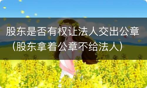 股东是否有权让法人交出公章（股东拿着公章不给法人）