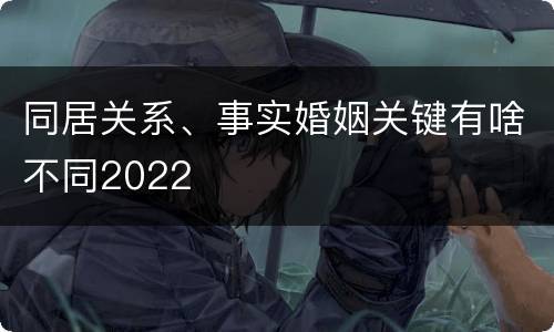同居关系、事实婚姻关键有啥不同2022