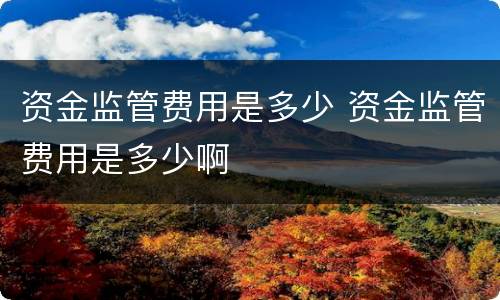 资金监管费用是多少 资金监管费用是多少啊