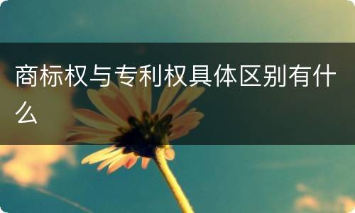 商标权与专利权具体区别有什么