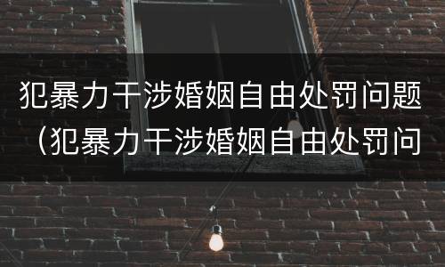 犯暴力干涉婚姻自由处罚问题（犯暴力干涉婚姻自由处罚问题的案例）