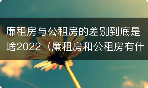 廉租房与公租房的差别到底是啥2022（廉租房和公租房有什么差别）