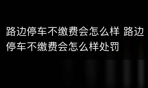 路边停车不缴费会怎么样 路边停车不缴费会怎么样处罚