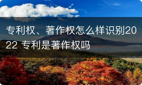 专利权、著作权怎么样识别2022 专利是著作权吗