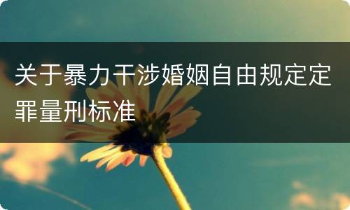 关于暴力干涉婚姻自由规定定罪量刑标准