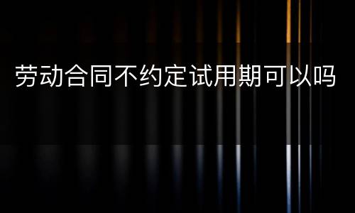 劳动合同不约定试用期可以吗