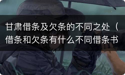 甘肃借条及欠条的不同之处（借条和欠条有什么不同借条书写）