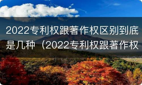 2022专利权跟著作权区别到底是几种（2022专利权跟著作权区别到底是几种形式）