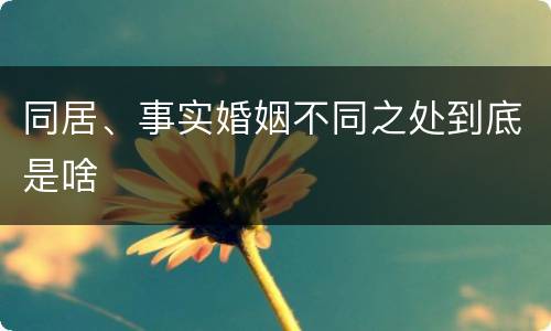 同居、事实婚姻不同之处到底是啥