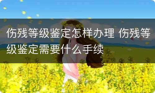 伤残等级鉴定怎样办理 伤残等级鉴定需要什么手续