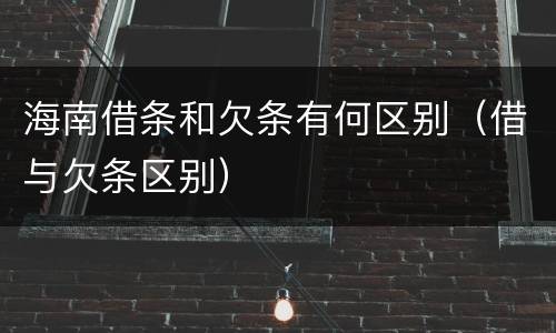 海南借条和欠条有何区别（借与欠条区别）