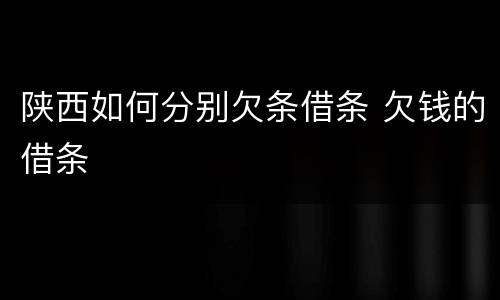 陕西如何分别欠条借条 欠钱的借条