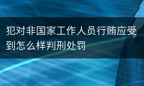犯对非国家工作人员行贿应受到怎么样判刑处罚