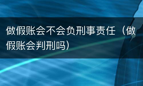 做假账会不会负刑事责任（做假账会判刑吗）
