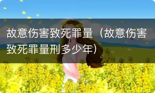 故意伤害致死罪量（故意伤害致死罪量刑多少年）