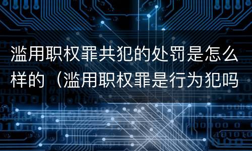 滥用职权罪共犯的处罚是怎么样的（滥用职权罪是行为犯吗）