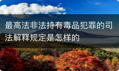最高法非法持有毒品犯罪的司法解释规定是怎样的