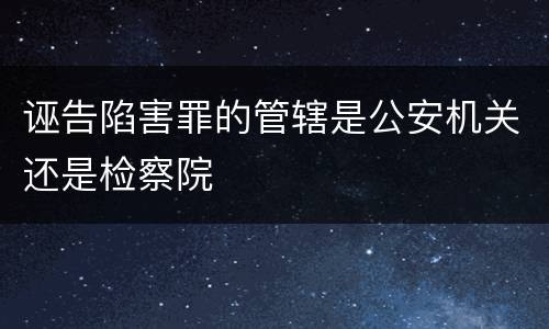诬告陷害罪的管辖是公安机关还是检察院