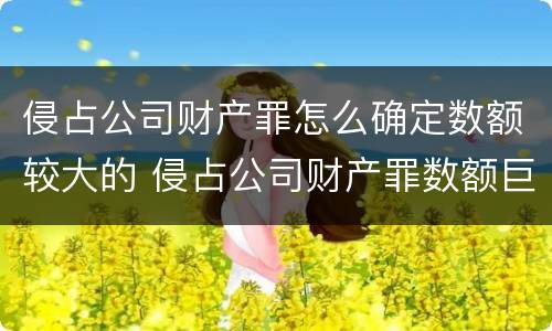 侵占公司财产罪怎么确定数额较大的 侵占公司财产罪数额巨大的标准