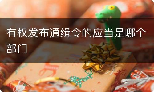 有权发布通缉令的应当是哪个部门