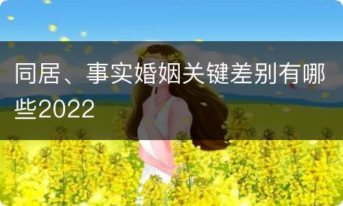 同居、事实婚姻关键差别有哪些2022