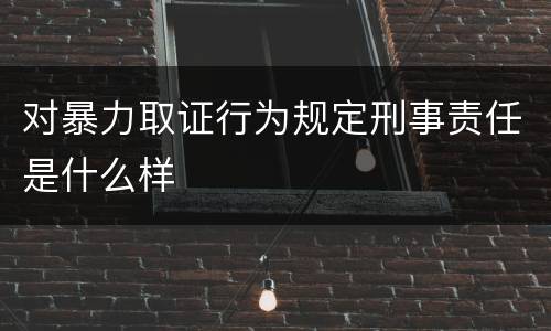 对暴力取证行为规定刑事责任是什么样