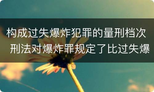 构成过失爆炸犯罪的量刑档次 刑法对爆炸罪规定了比过失爆炸罪