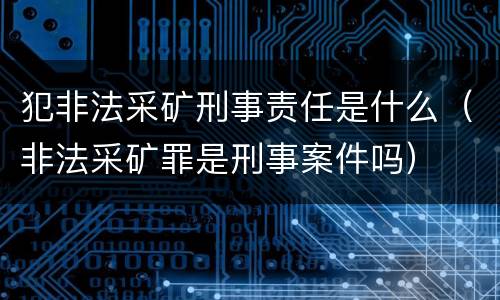犯非法采矿刑事责任是什么（非法采矿罪是刑事案件吗）