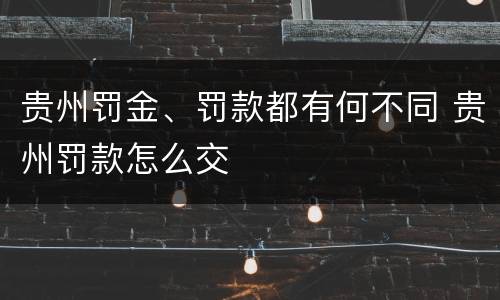 贵州罚金、罚款都有何不同 贵州罚款怎么交