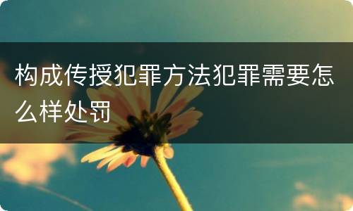 构成传授犯罪方法犯罪需要怎么样处罚
