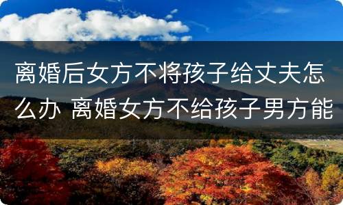 离婚后女方不将孩子给丈夫怎么办 离婚女方不给孩子男方能争取到吗