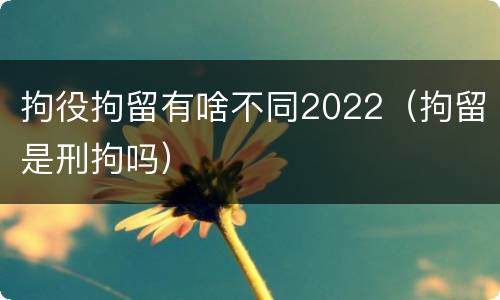 拘役拘留有啥不同2022（拘留是刑拘吗）