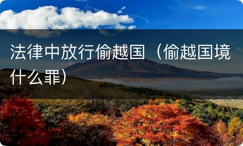 法律中放行偷越国（偷越国境什么罪）