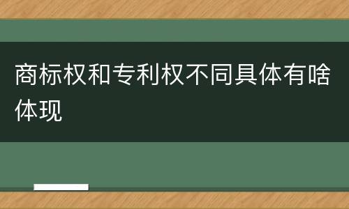 商标权和专利权不同具体有啥体现