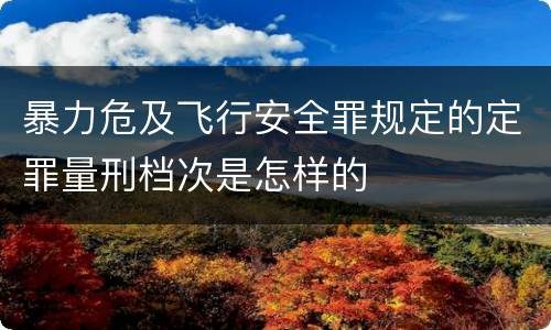暴力危及飞行安全罪规定的定罪量刑档次是怎样的