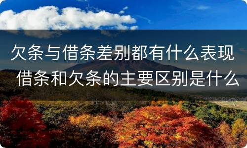 欠条与借条差别都有什么表现 借条和欠条的主要区别是什么