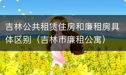 吉林公共租赁住房和廉租房具体区别（吉林市廉租公寓）