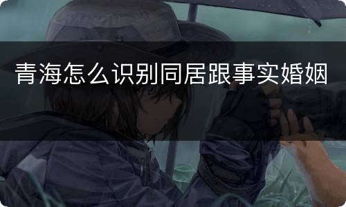 青海怎么识别同居跟事实婚姻