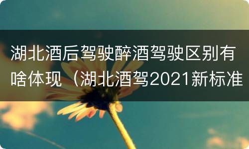 湖北酒后驾驶醉酒驾驶区别有啥体现（湖北酒驾2021新标准）