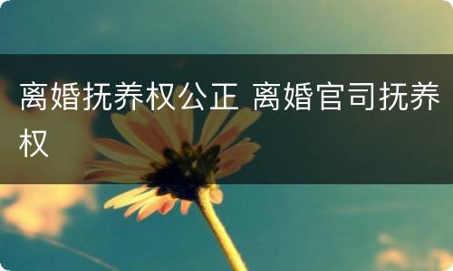 离婚抚养权公正 离婚官司抚养权